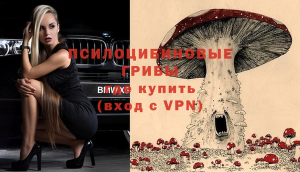 гашик Нефтекумск