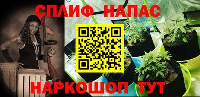 тгк Донской