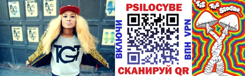 где продают   Новодвинск  Галлюциногенные грибы Psilocybine cubensis 