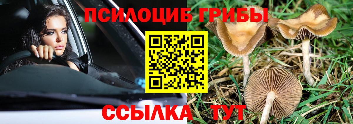 Новодвинск  Галлюциногенные грибы GOLDEN TEACHER  Вход с VPN 