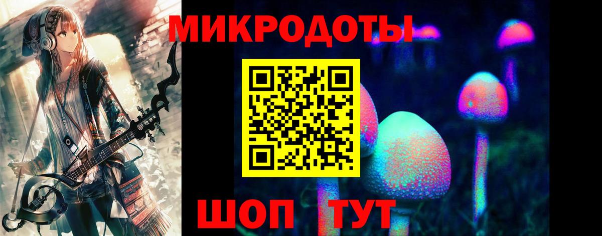 Галлюциногенные грибы ЛСД Новодвинск