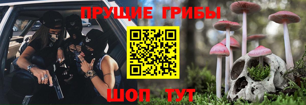 Галлюциногенные грибы ЛСД  Галлюциногенные грибы Psilocybe  Новодвинск 