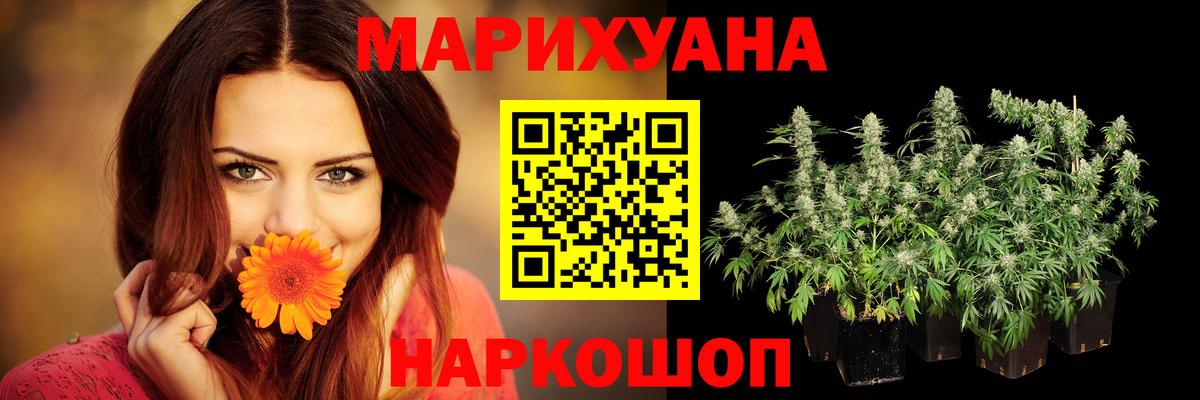 Новодвинск  Каннабис сатива  Вход с VPN  Марихуана OG Kush  Бошки Шишки семена 